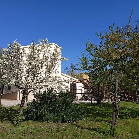 Bed and Breakfast Sotto L'Ulivo Mondavio Zewnętrze zdjęcie