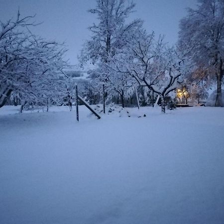 Bed and Breakfast Sotto L'Ulivo Mondavio Zewnętrze zdjęcie