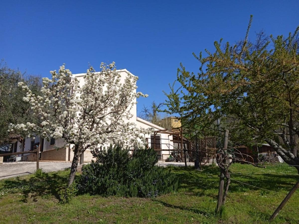 Bed and Breakfast Sotto L'Ulivo Mondavio Zewnętrze zdjęcie