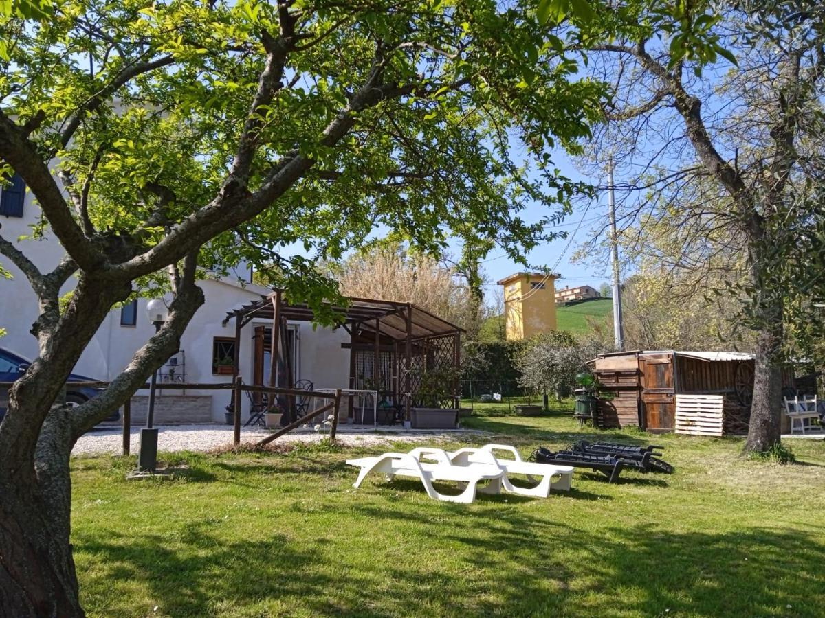 Bed and Breakfast Sotto L'Ulivo Mondavio Zewnętrze zdjęcie