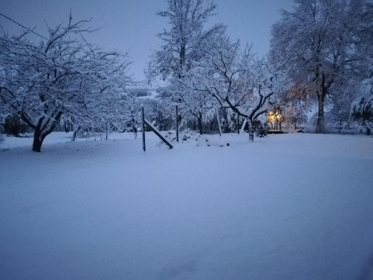 Bed and Breakfast Sotto L'Ulivo Mondavio Zewnętrze zdjęcie