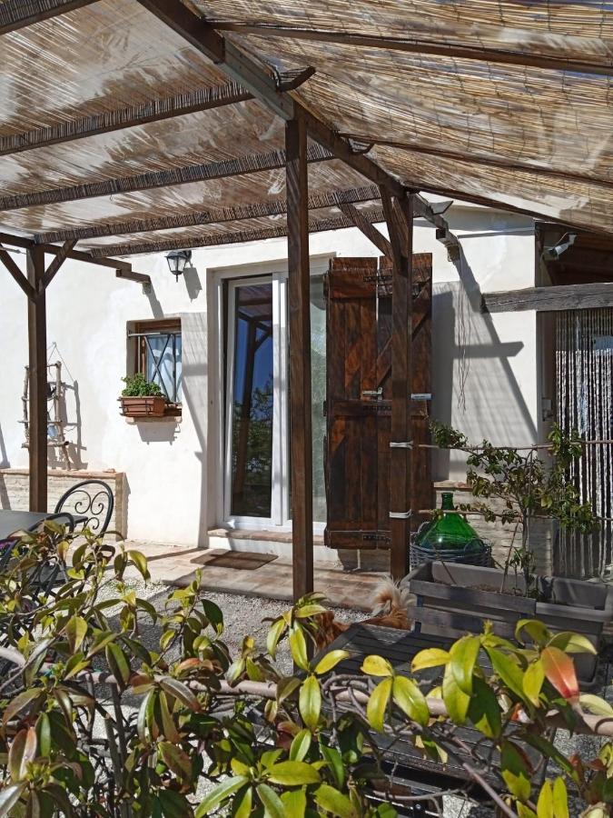 Bed and Breakfast Sotto L'Ulivo Mondavio Zewnętrze zdjęcie