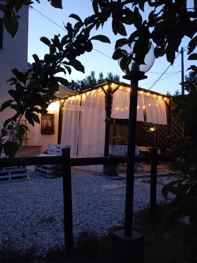 Bed and Breakfast Sotto L'Ulivo Mondavio Zewnętrze zdjęcie