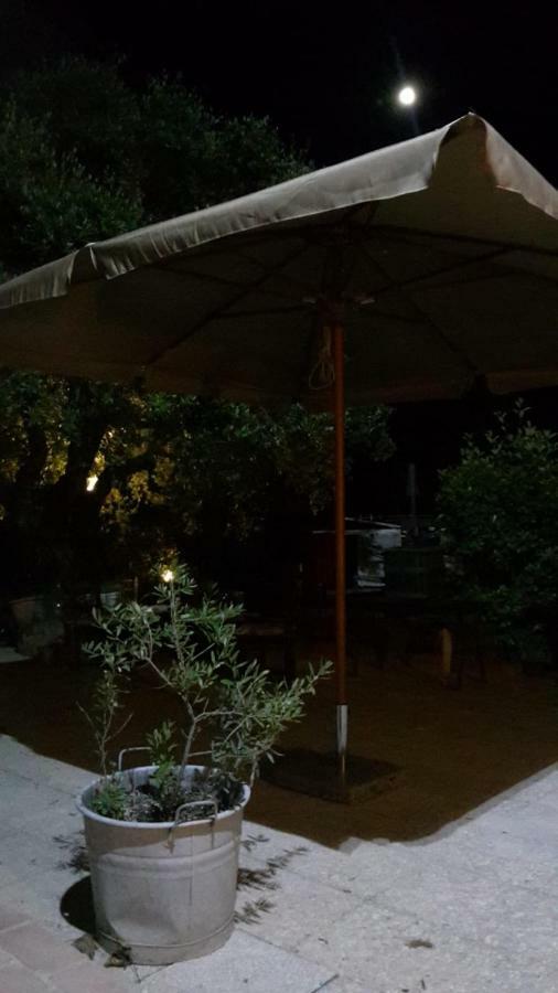 Bed and Breakfast Sotto L'Ulivo Mondavio Zewnętrze zdjęcie