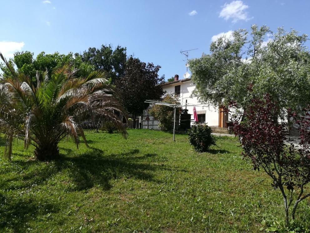 Bed and Breakfast Sotto L'Ulivo Mondavio Zewnętrze zdjęcie