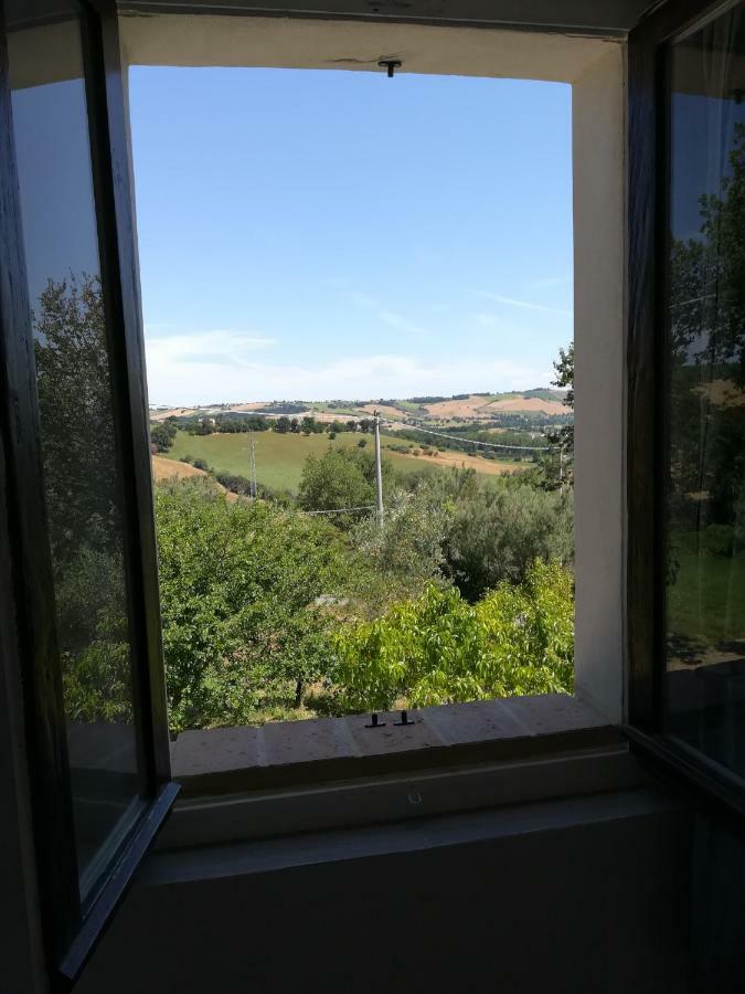 Bed and Breakfast Sotto L'Ulivo Mondavio Zewnętrze zdjęcie