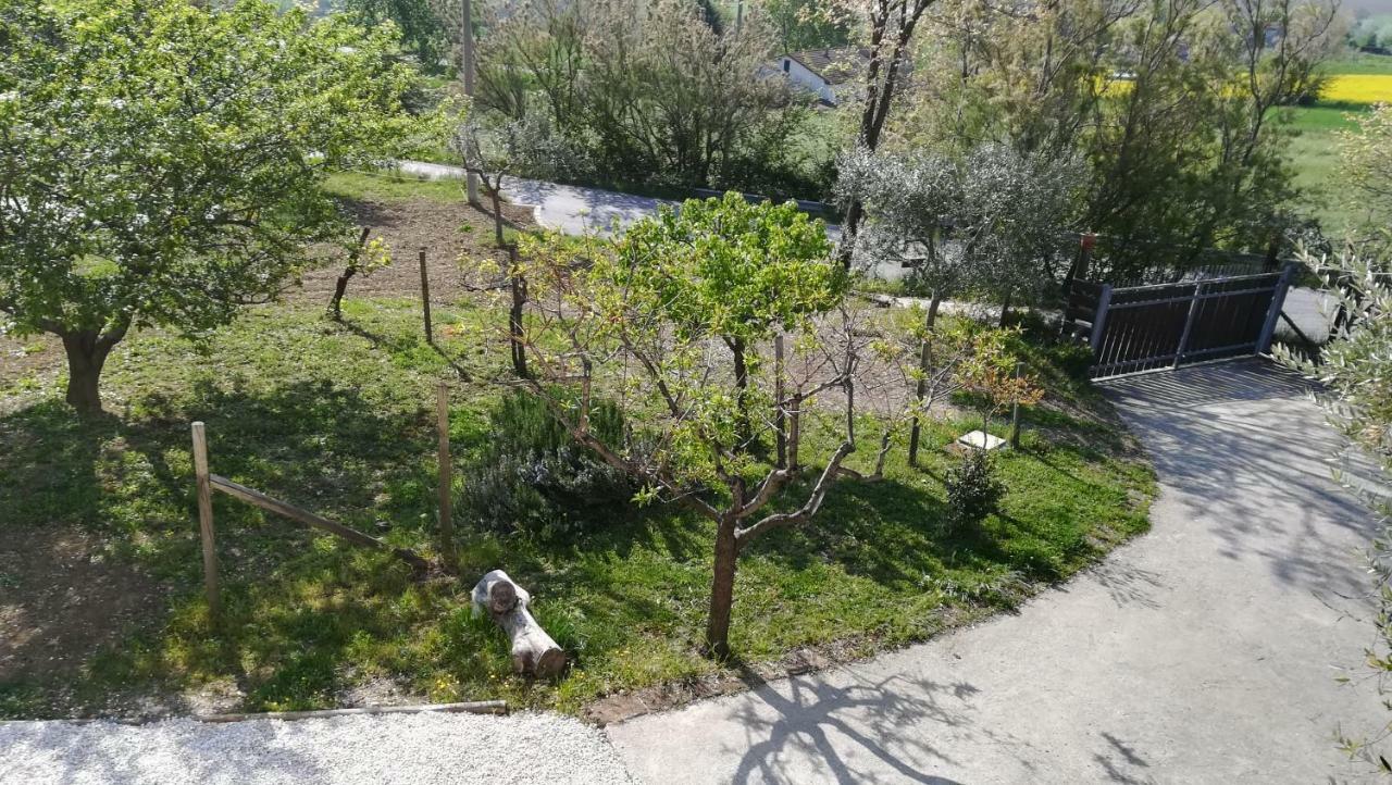 Bed and Breakfast Sotto L'Ulivo Mondavio Zewnętrze zdjęcie