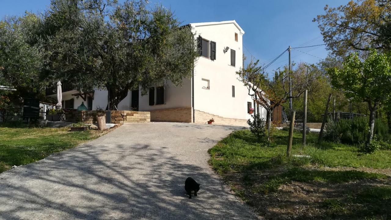 Bed and Breakfast Sotto L'Ulivo Mondavio Zewnętrze zdjęcie