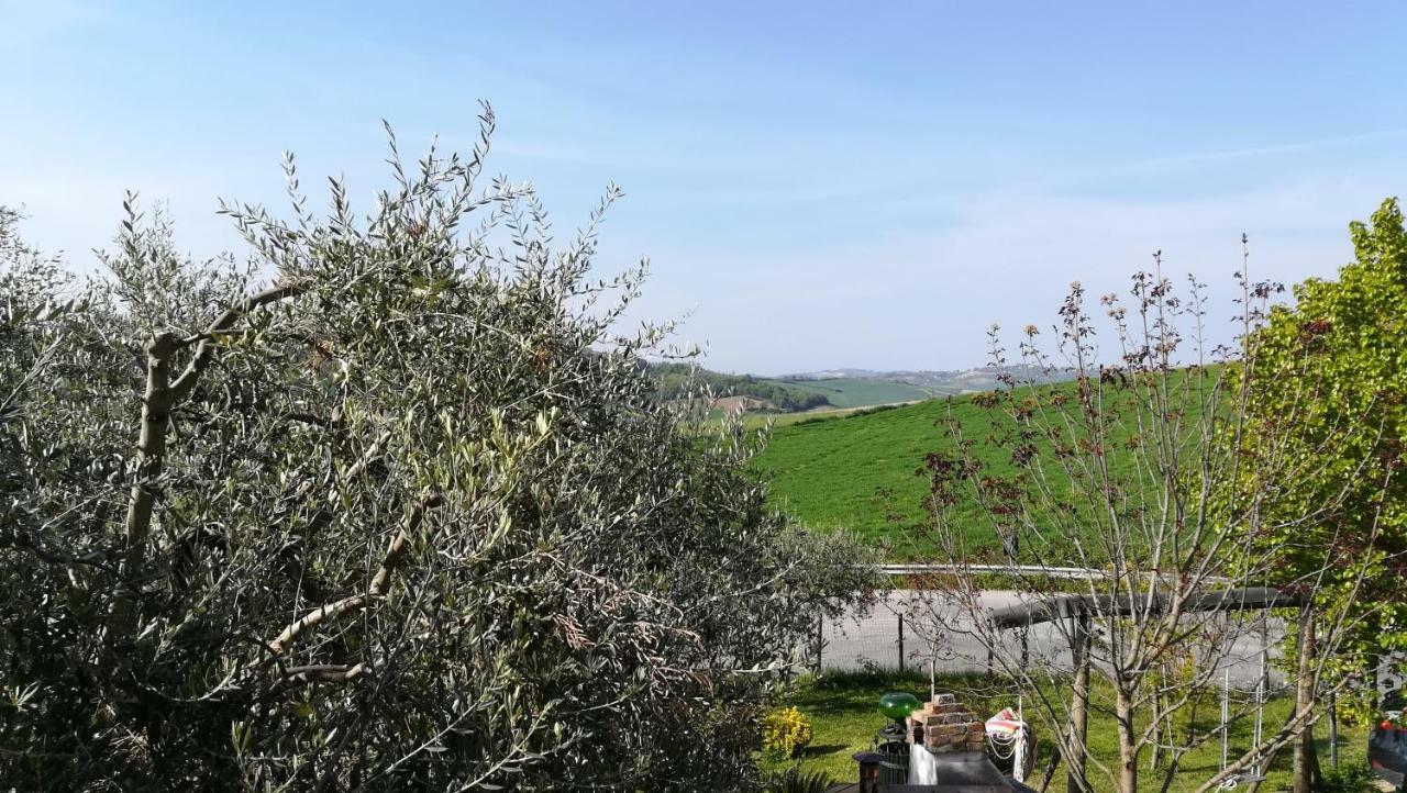 Bed and Breakfast Sotto L'Ulivo Mondavio Zewnętrze zdjęcie