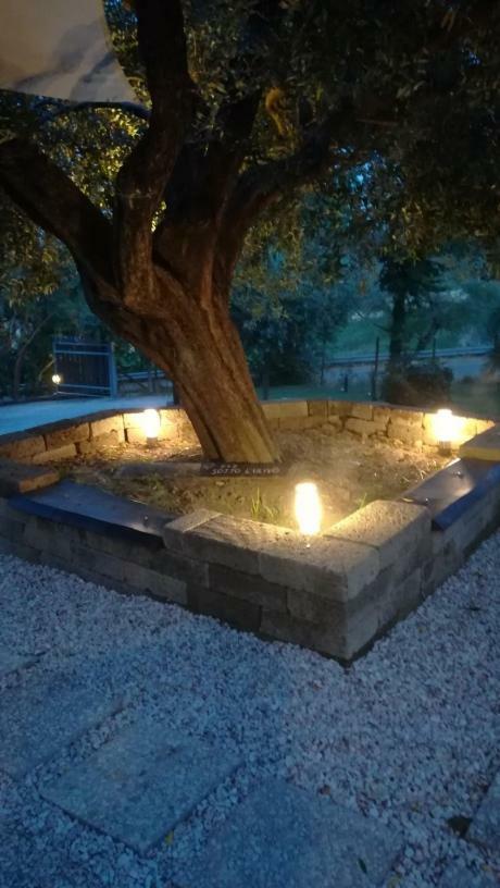 Bed and Breakfast Sotto L'Ulivo Mondavio Zewnętrze zdjęcie